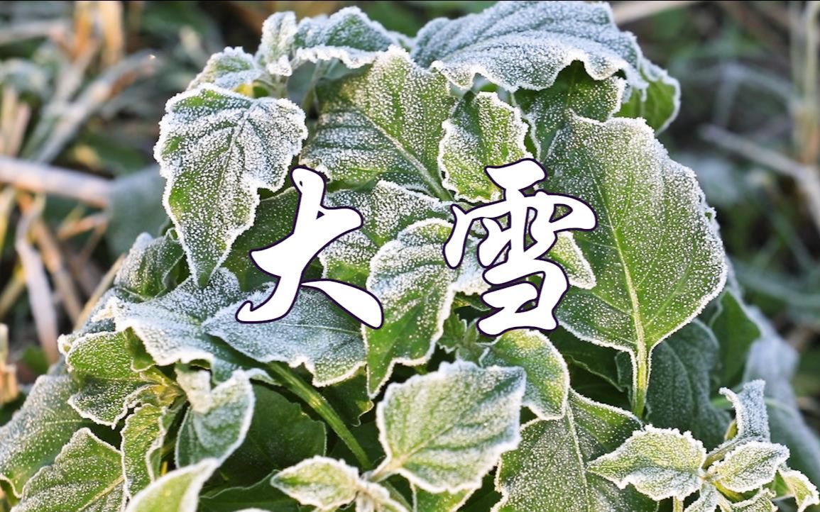 [图]二十四节气 | 大雪 | 仲冬时节正式开始