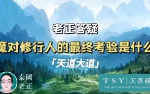 Descargar video: 修行人的最终考验｜泰国老郑｜天善缘