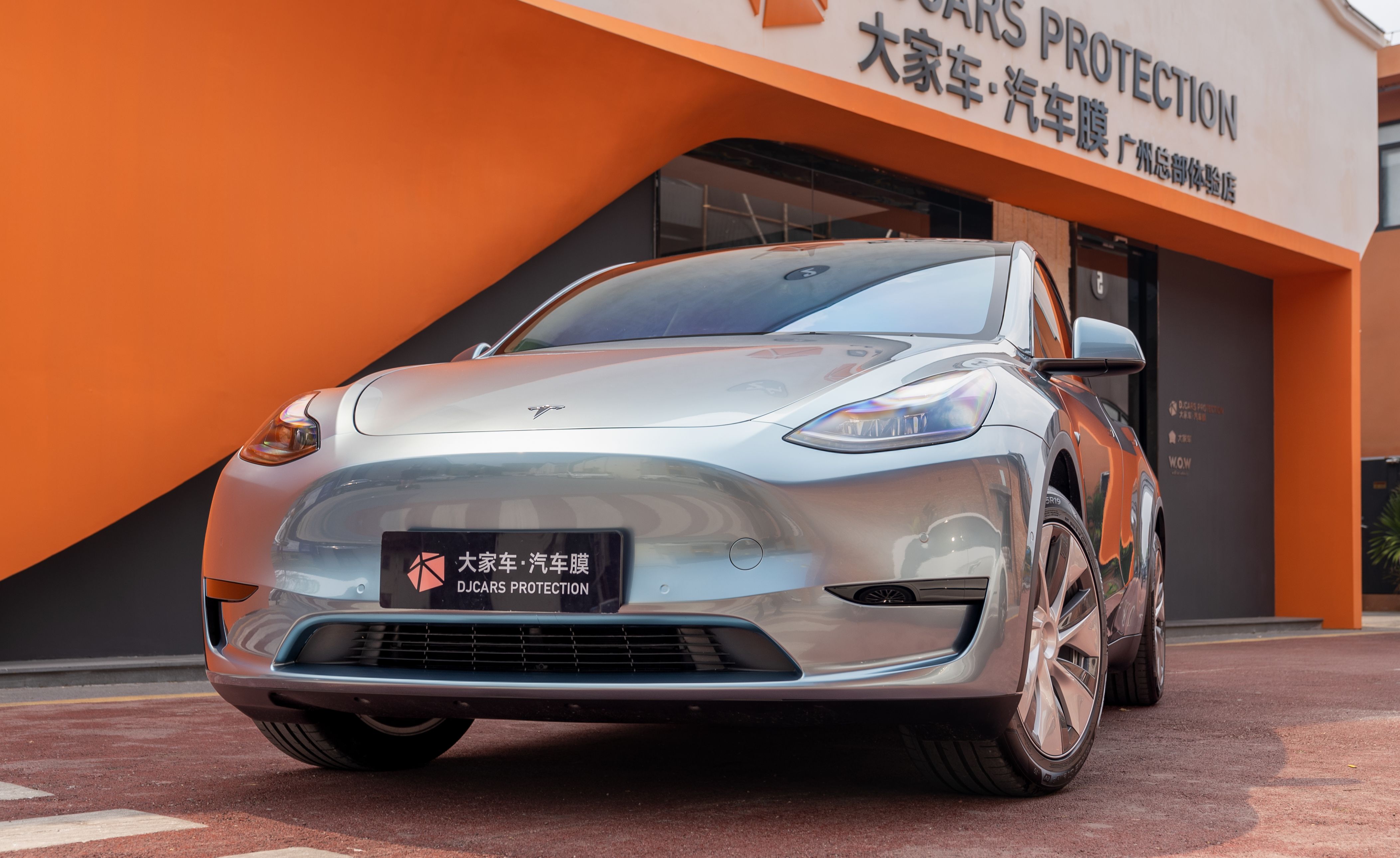 model y 新款图片