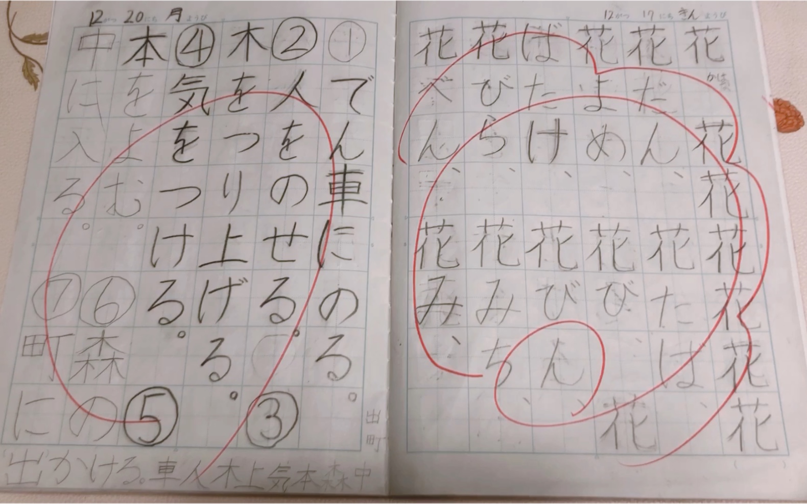 日语的“花”字和中国的“花”字竟然不一样!日本小学一年级课文—《もっと 読もう》哔哩哔哩bilibili