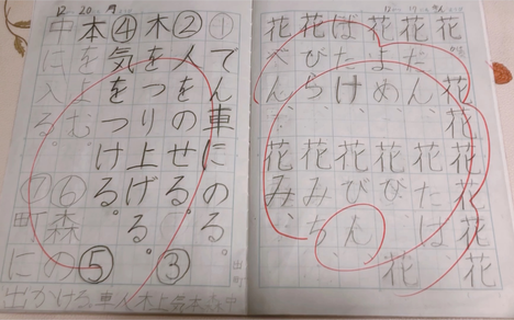 日本小学二年生的个人空间 哔哩哔哩移动版