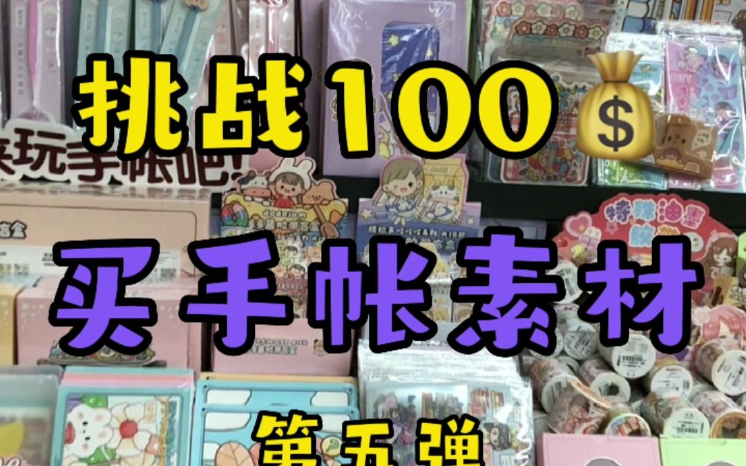 挑战100元买手账素材第五弹哔哩哔哩bilibili