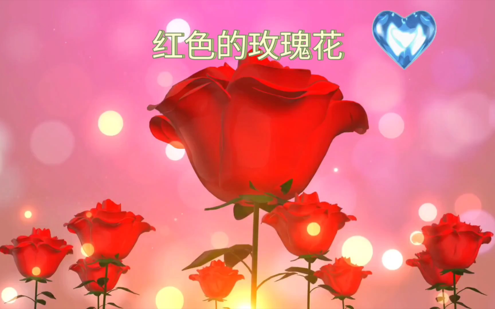 红色的玫瑰花哔哩哔哩bilibili