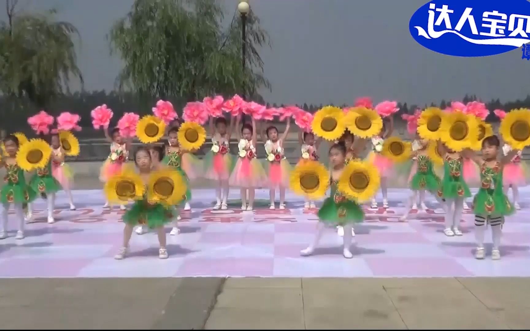 [图]幼儿园大班舞蹈《花儿朵朵向阳开》，一朵朵可爱的小葵花在舞蹈