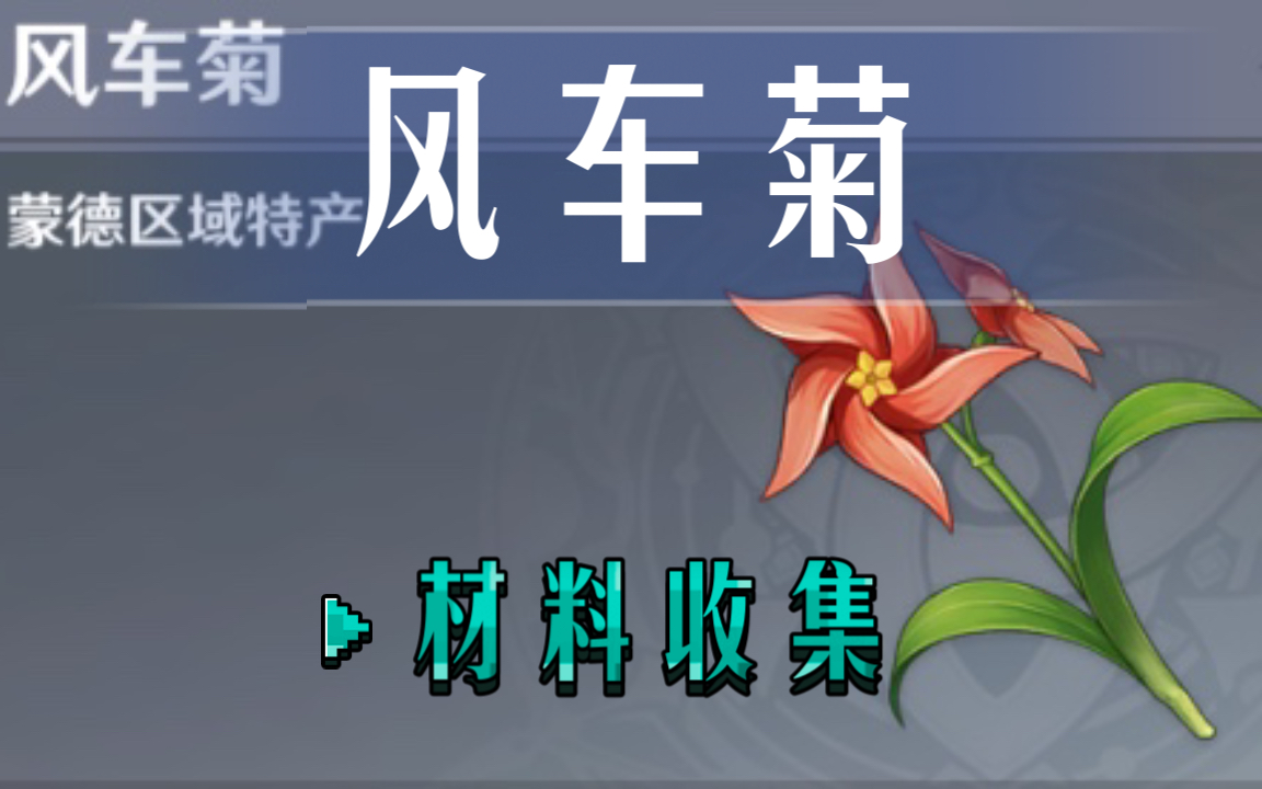 原神风车菊材料收集