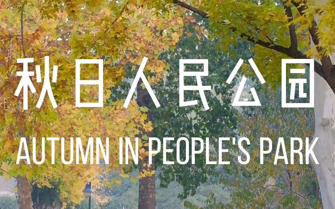 秋日人民公园,追一场邢台限定晚秋𐟍‚哔哩哔哩bilibili