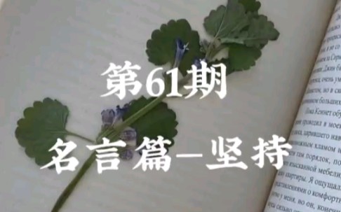 坚持名言哔哩哔哩bilibili