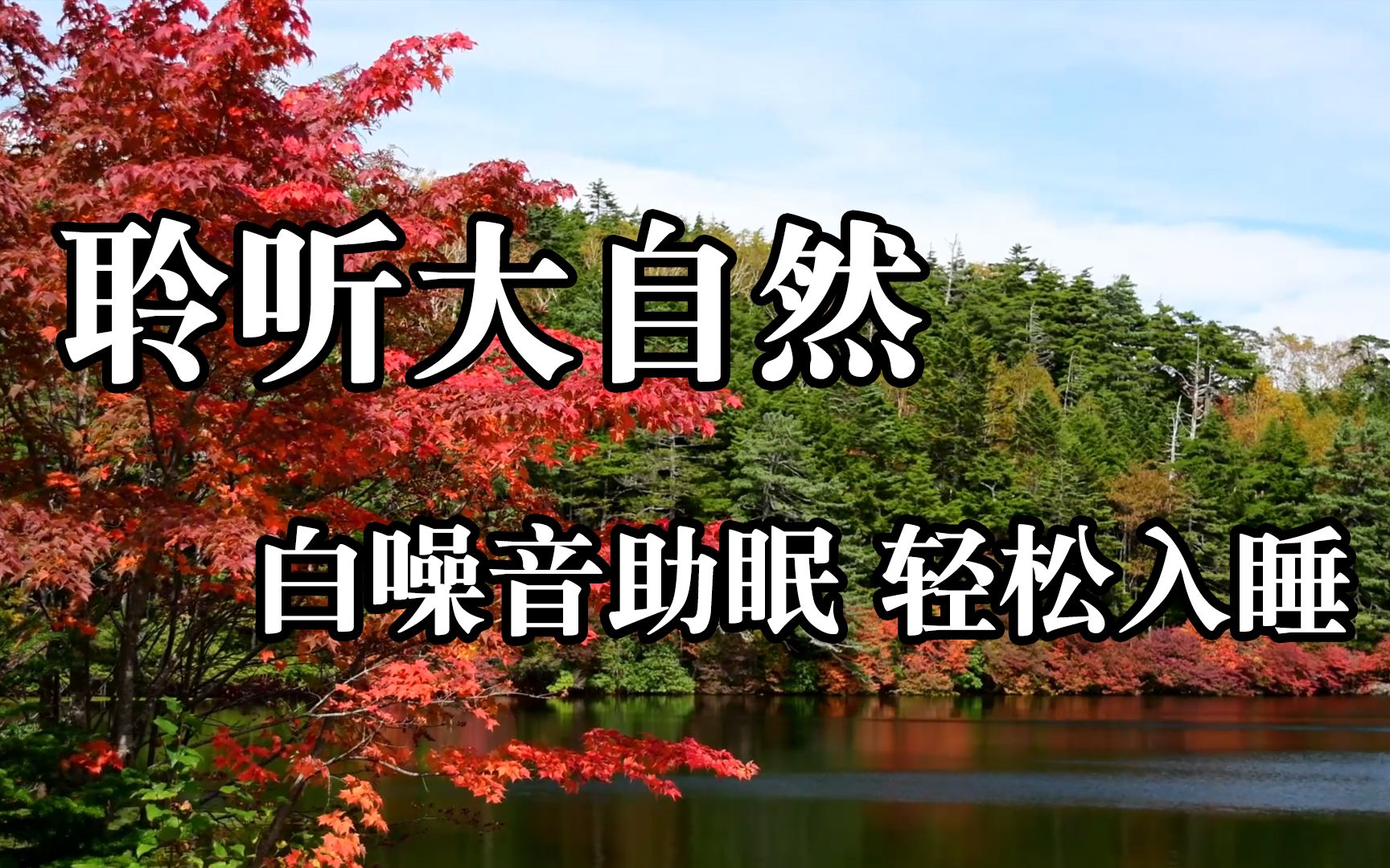 聆听大自然,白噪音助眠轻松入睡!