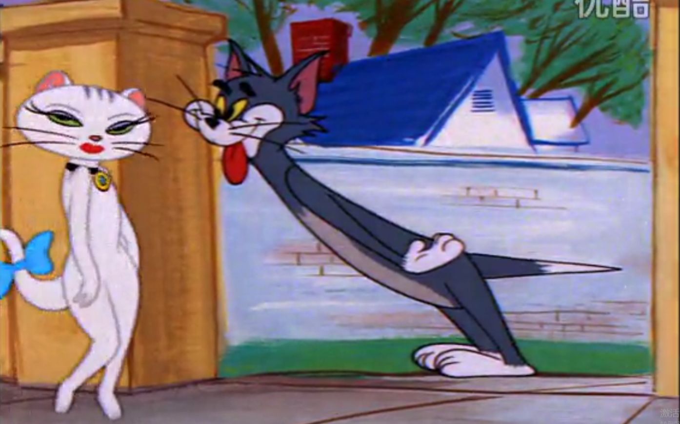 【猫和老鼠】我的舔猫朋友