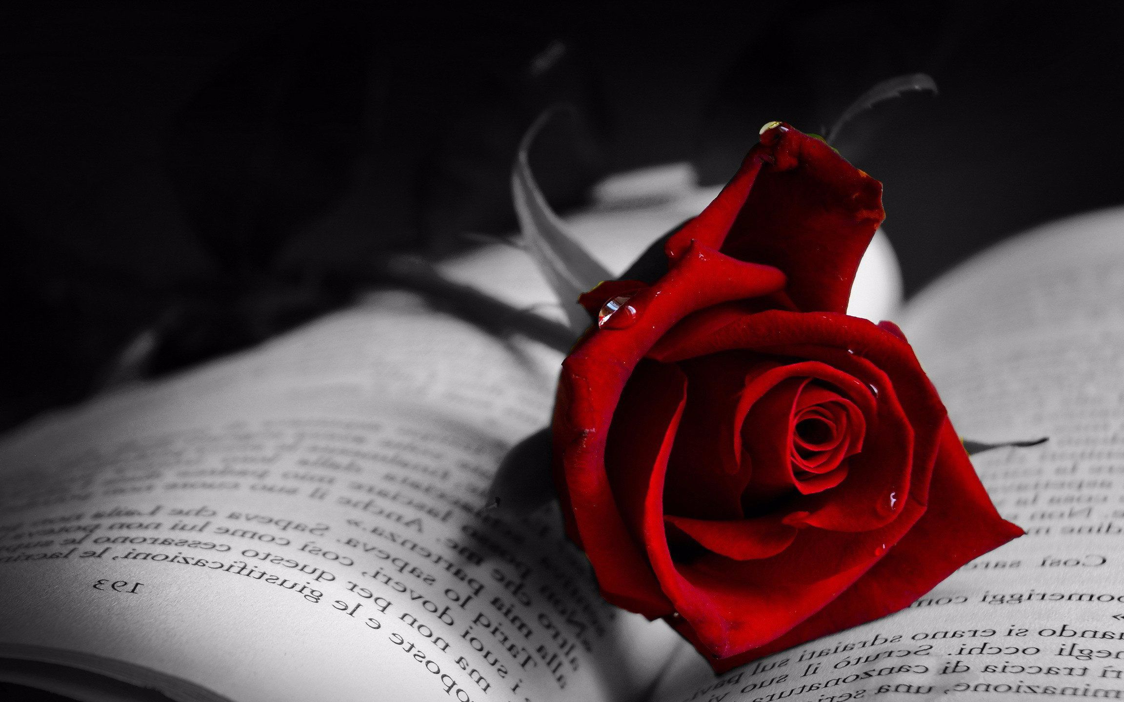 【呓方的翻唱】沉迷低音 young and beautiful