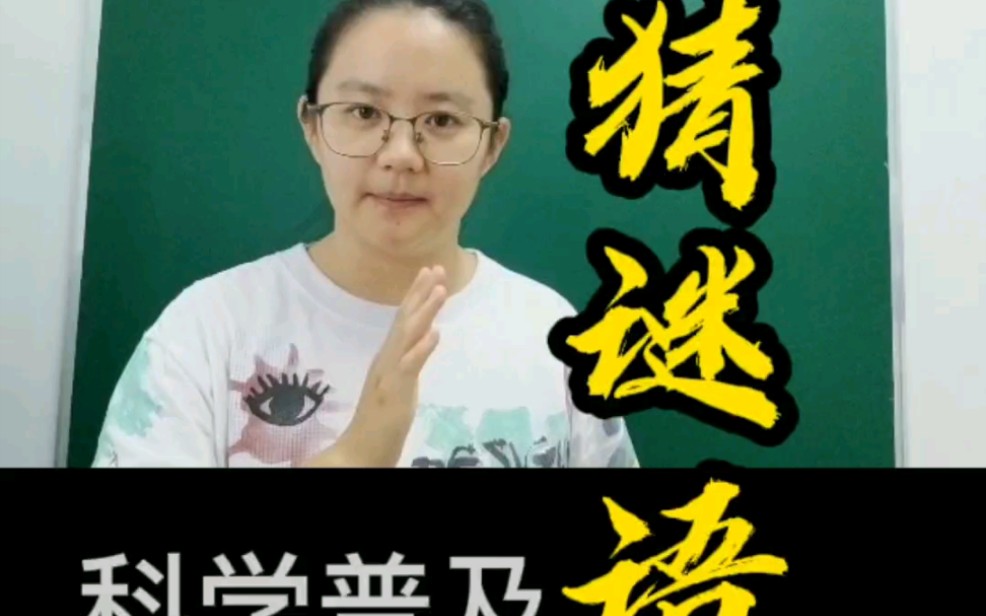 分子原子由来道尔顿哔哩哔哩bilibili