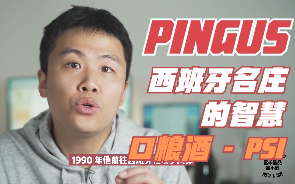 西班牙杜埃罗河岸PINGUS的智慧 口粮酒PSI哔哩哔哩bilibili