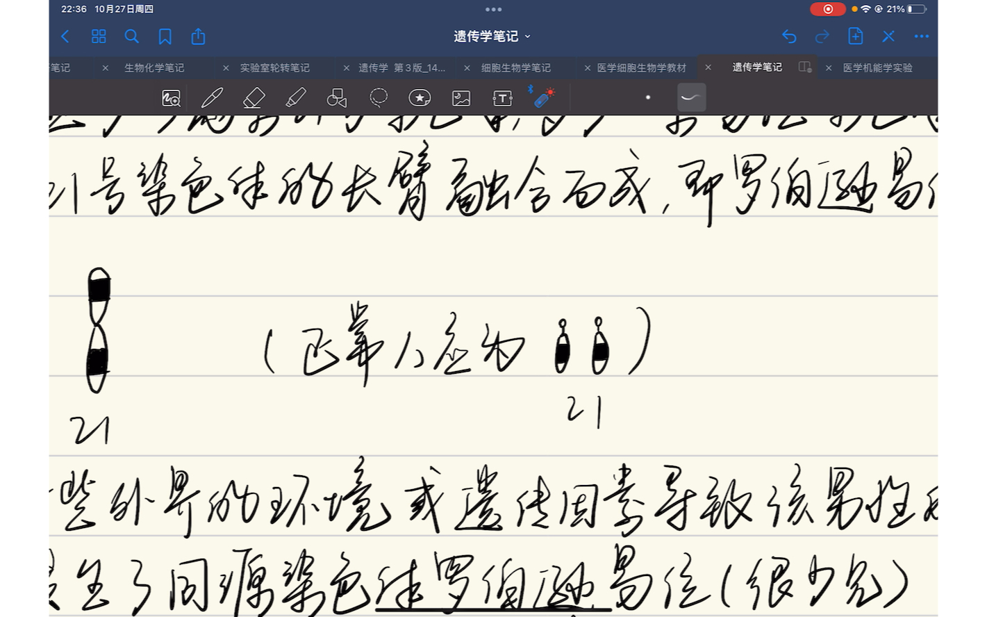 一道染色体横裂产生易位位染色体的生育题讲解【医学遗传学】哔哩哔哩bilibili