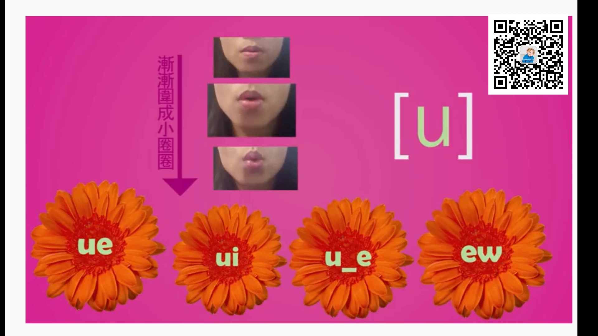 长母音u的发音规则