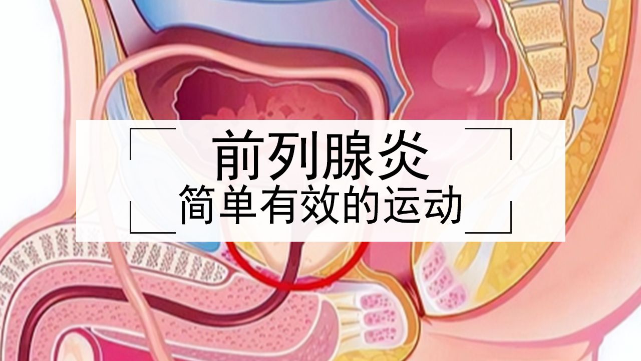 对前列腺有用且简单有效的方法?哔哩哔哩bilibili