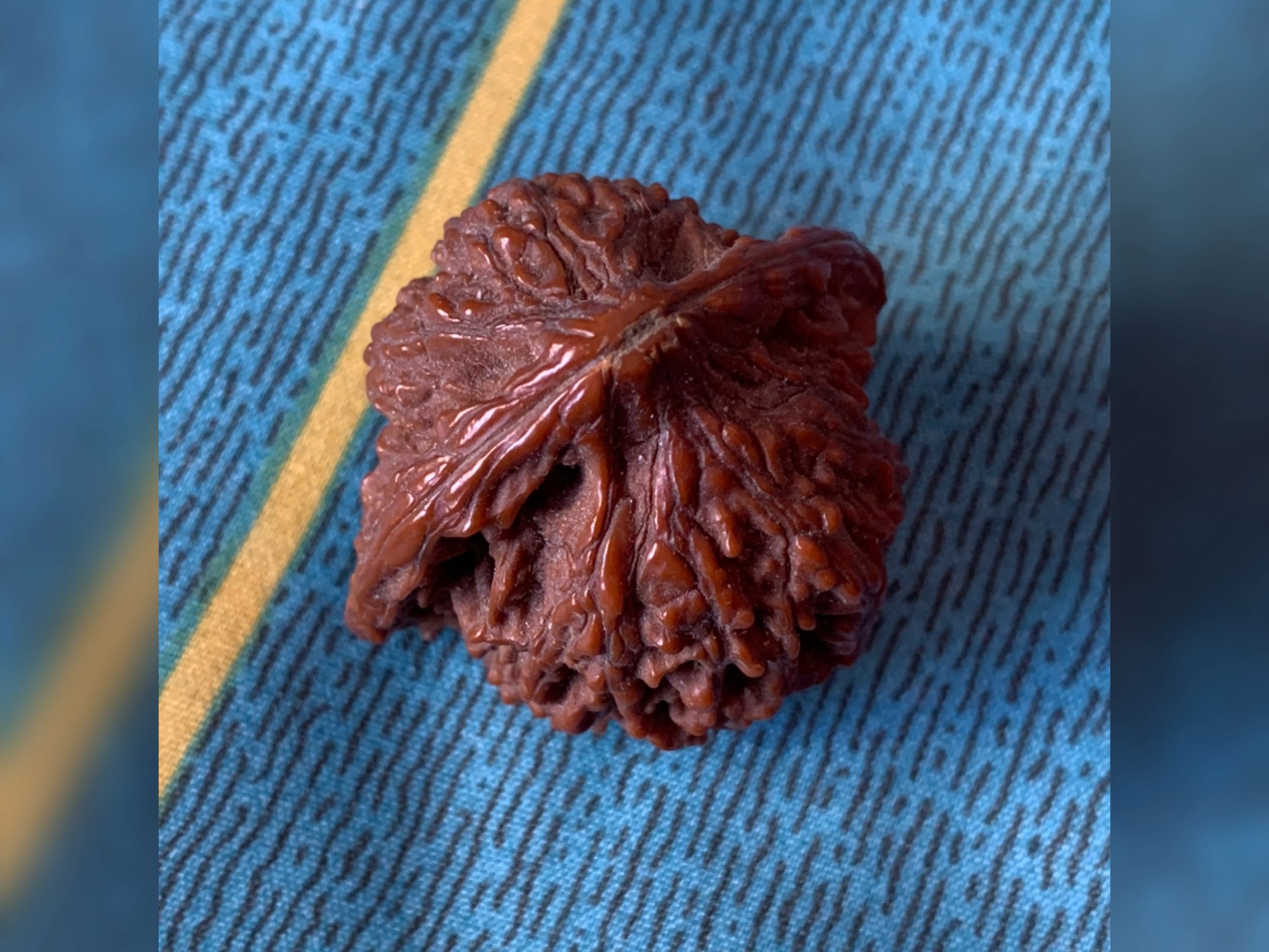 视频加载中,速速查收惊喜!