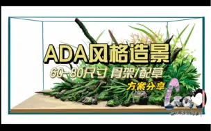 ADA风格造景设计60-80尺寸方案，快抄作业，清爽养眼