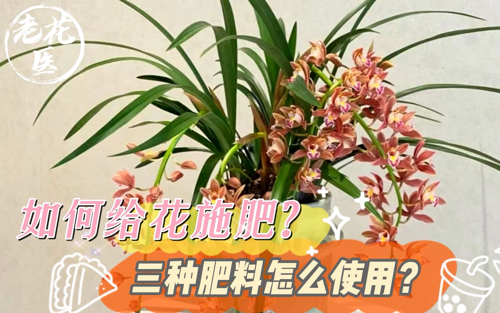 如何给花施肥?三种肥料怎么使用?养花巧妙小知识!哔哩哔哩bilibili