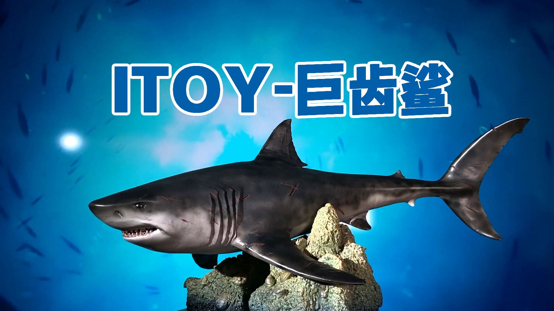 【呆头鹅】itoy巨齿鲨模型展示
