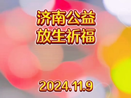 济南德馨正念公益组织,放生活动.随喜赞叹放生功德,放生救命,功德无量!哔哩哔哩bilibili