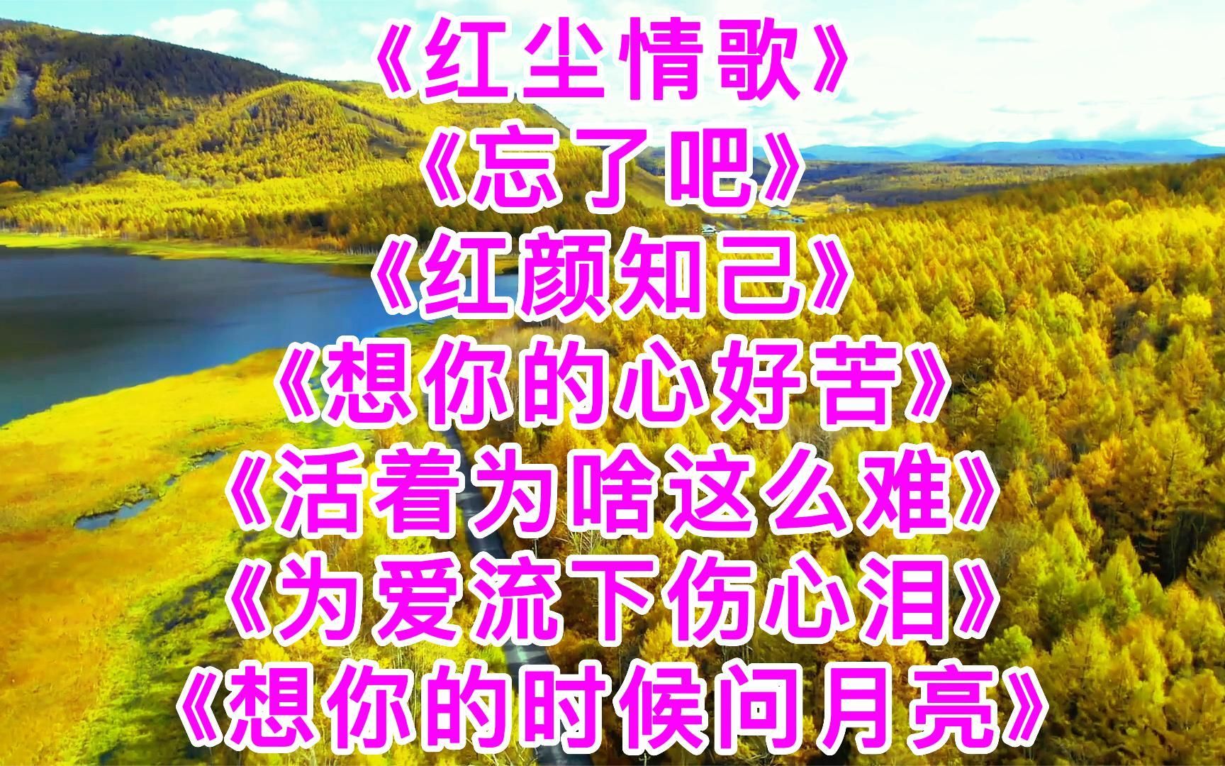 悦耳动听歌曲《红尘情歌》《忘了吧》《红颜知己》《想你的心好苦》