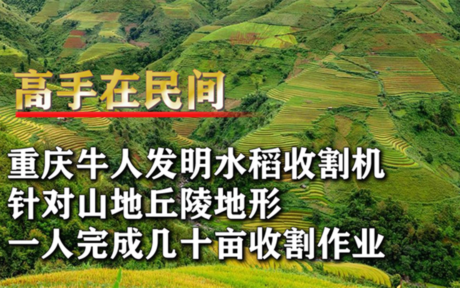 重庆牛人发明水稻收割机,专门针对山地丘陵,农业专家赞叹不已哔哩哔哩bilibili