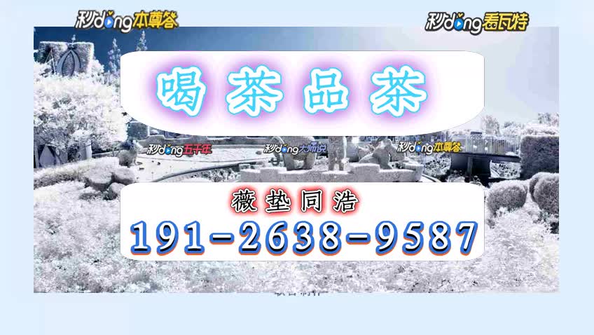 8分鈡明了解广州新茶联系方式第946期