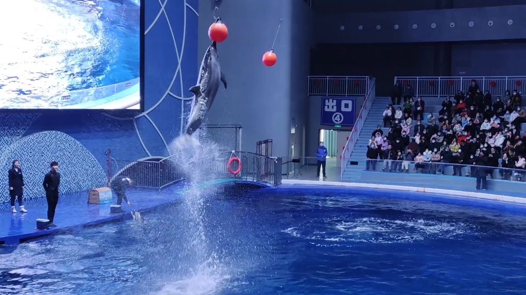 打卡滨州海底世界