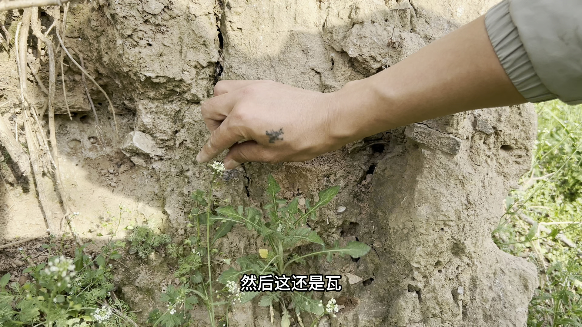 路边发现战汉遗址，随手一捡都是宝贝，看来以前这里很富裕