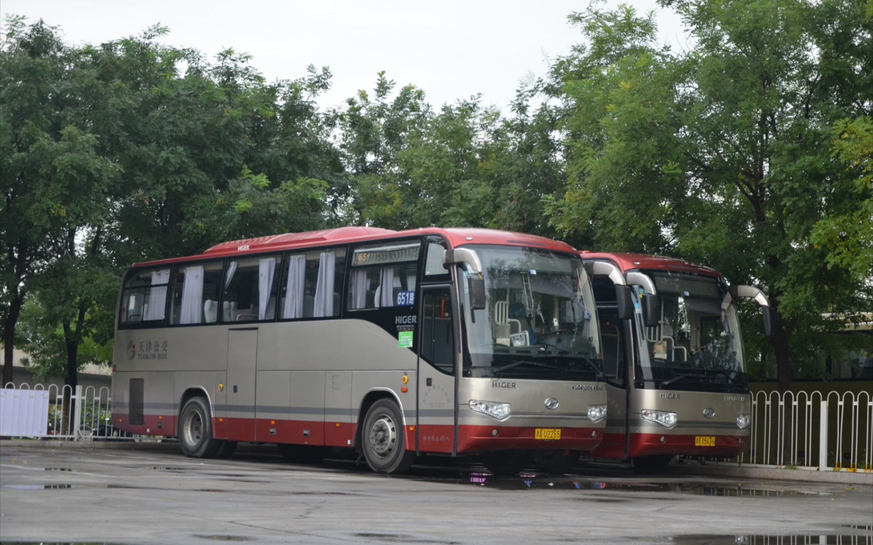 【天津公交】已淡出人们视线的海格旅行轿 行驶片段 行走音