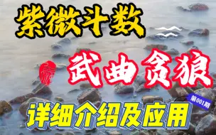 Download Video: 紫微斗数武曲贪狼武曲是钱，硬的等，贪狼是体积大小，欲望，肉等就是钱的大小，硬的体积等如果入夫妻宫，代表着含金量的大小，具体看盘来定