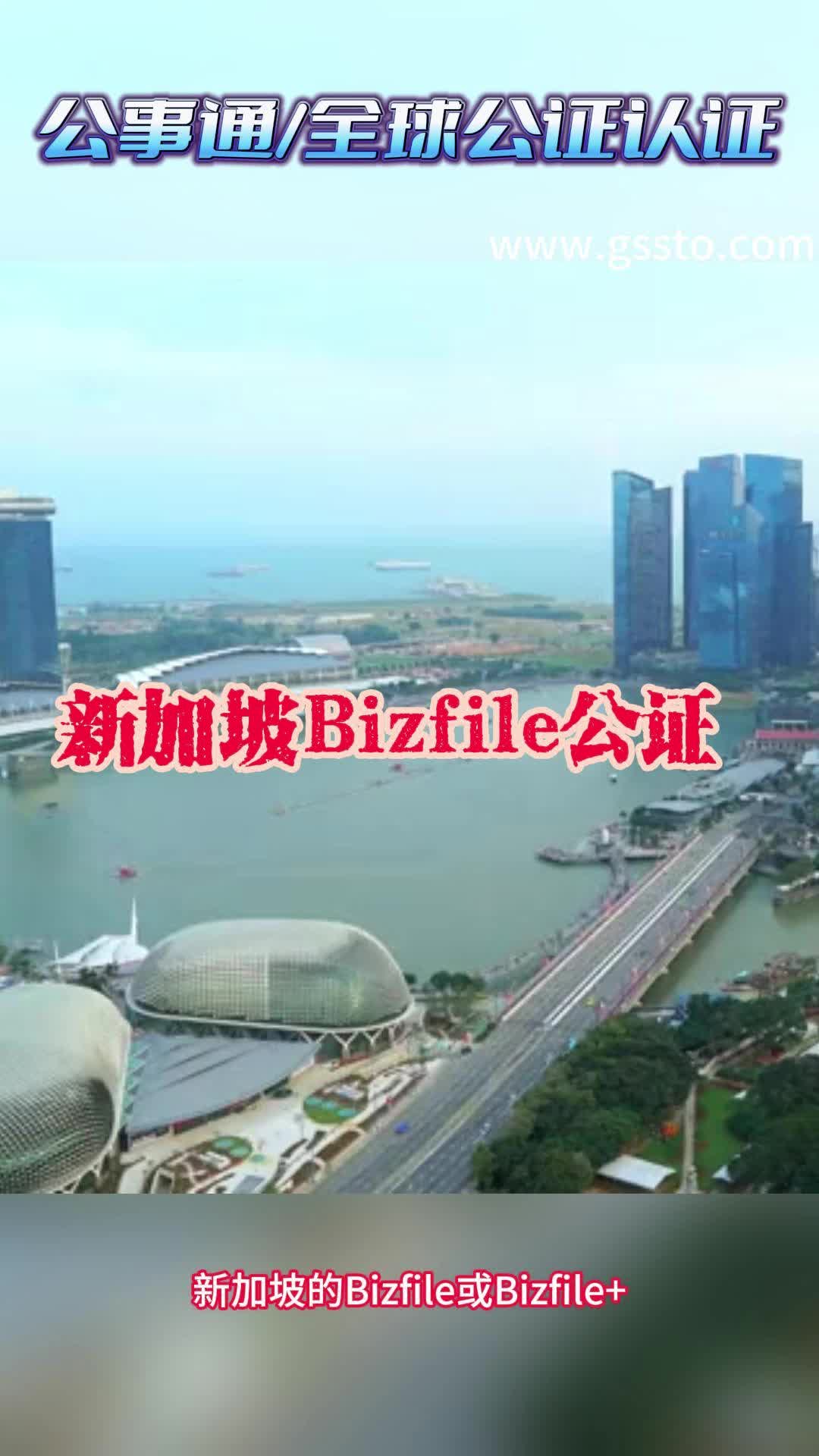 新加坡Bizfile公证是怎么回事?哔哩哔哩bilibili