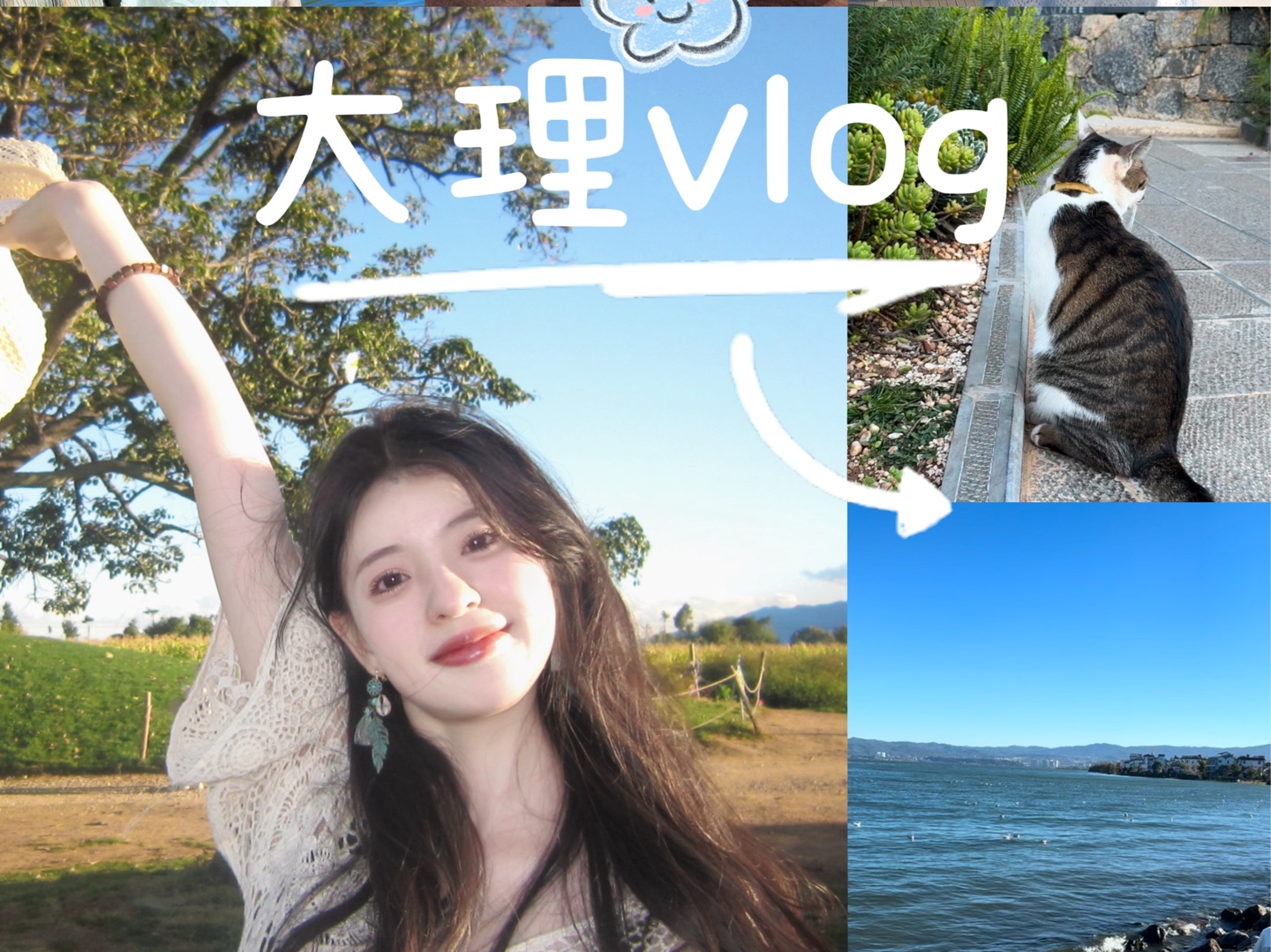 大理Vlog/去有风的地方~哔哩哔哩bilibili