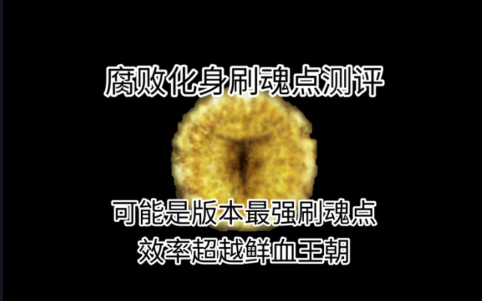 [艾尔登法环]最高效率刷魂点,打破血王朝垄断(艾尔登法环刷魂点测评第一期 腐败化身刷魂点)哔哩哔哩bilibili