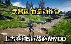 Download Video: 【上古卷轴5】自带动作招式的军械库武器MOD 近战必备 长枪长棍MCO动作包 支持架势系统 战斗模组