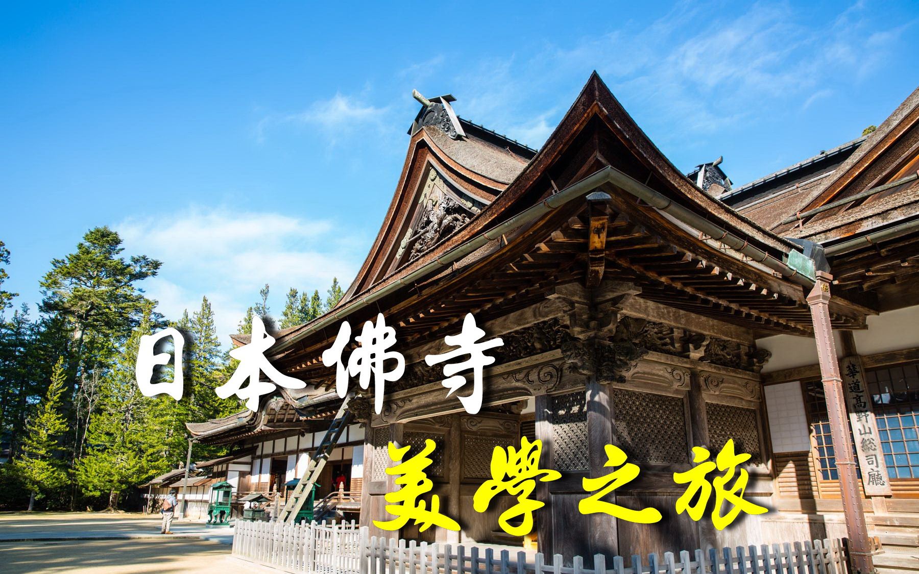 如何欣赏日本佛寺,寺院美学之旅现场讲述,旅游佛教胜地的观察体验方法/东寺、唐招提寺、金刚峰寺哔哩哔哩bilibili