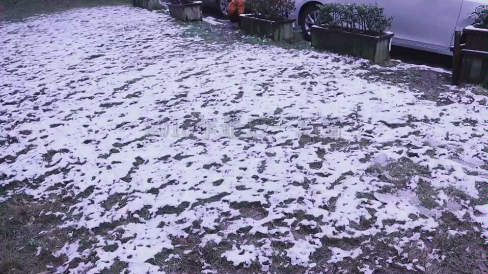 [图]2018年最后一场雪，我和萌娃踏雪寻春