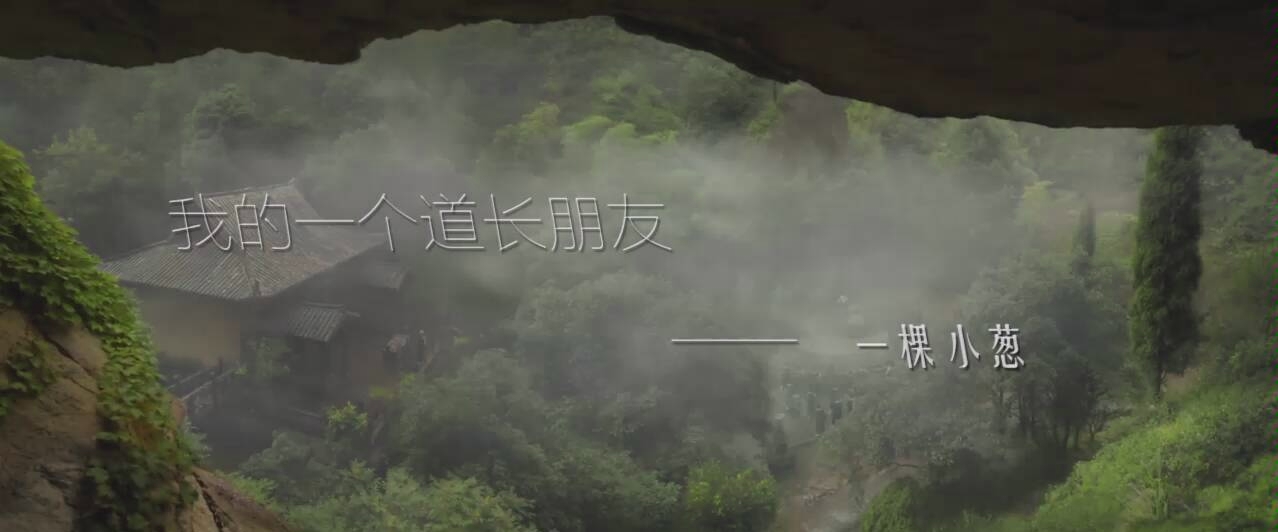 [图]我的一个道长朋友，混剪《道士下山》mv