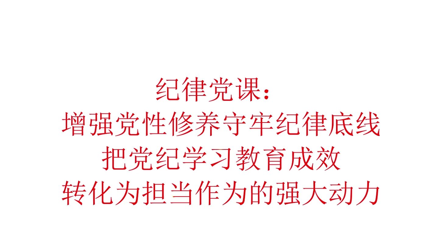 专题课:守牢纪律底线 把学习教育成效转化为担当作为的强大动力