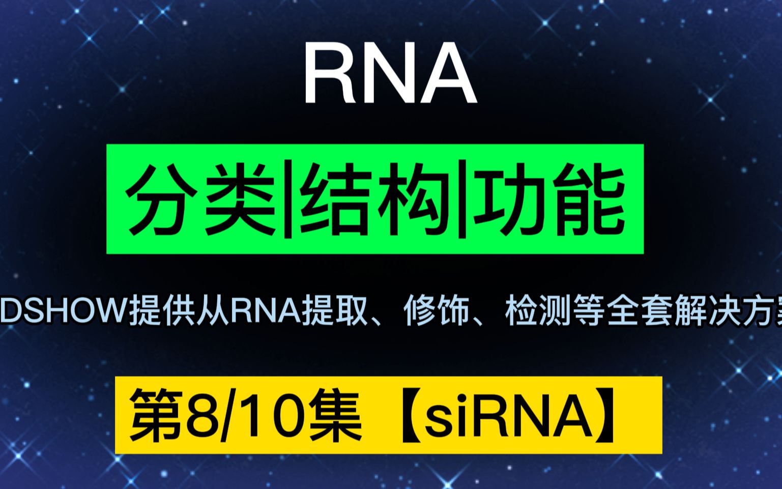 siRNA结构和功能哔哩哔哩bilibili