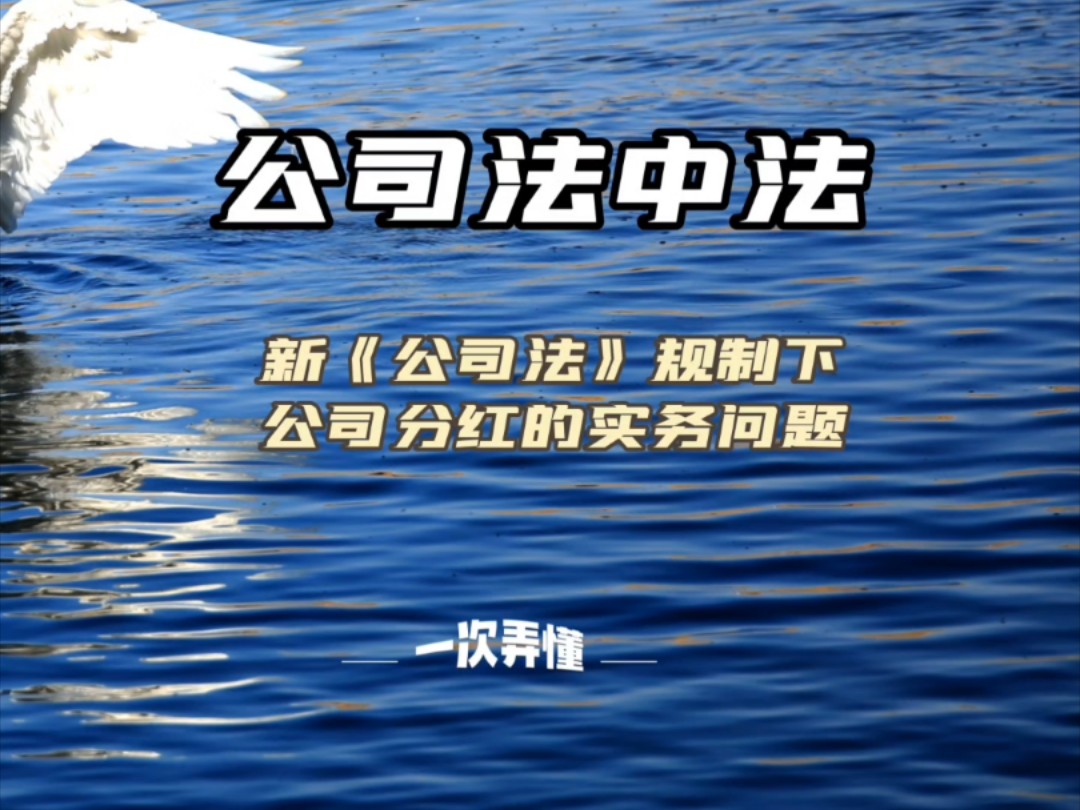 新公司法重点法条实务应用之关于公司分红的实务问题哔哩哔哩bilibili