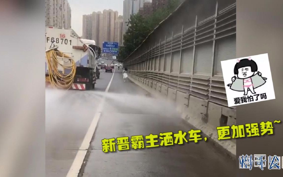 洒水车司机一定是个单声狗,哼,单!身!狗!哔哩哔哩bilibili