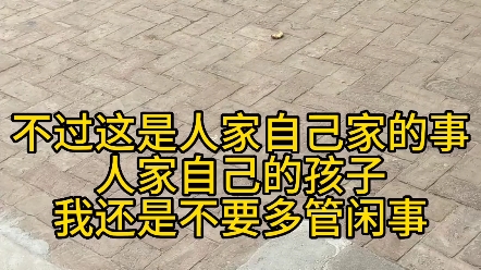 农村猫是如何学习技能的 完整展示农村猫妈是如何引导...哔哩哔哩bilibili