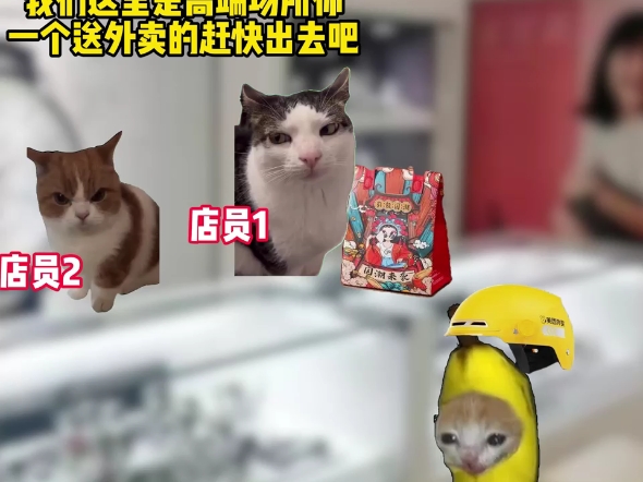 毕业后的我不想进厂选择黄袍加身 #猫meme #猫meme小剧场 #外卖小哥 #黄袍加身 #真实事件哔哩哔哩bilibili