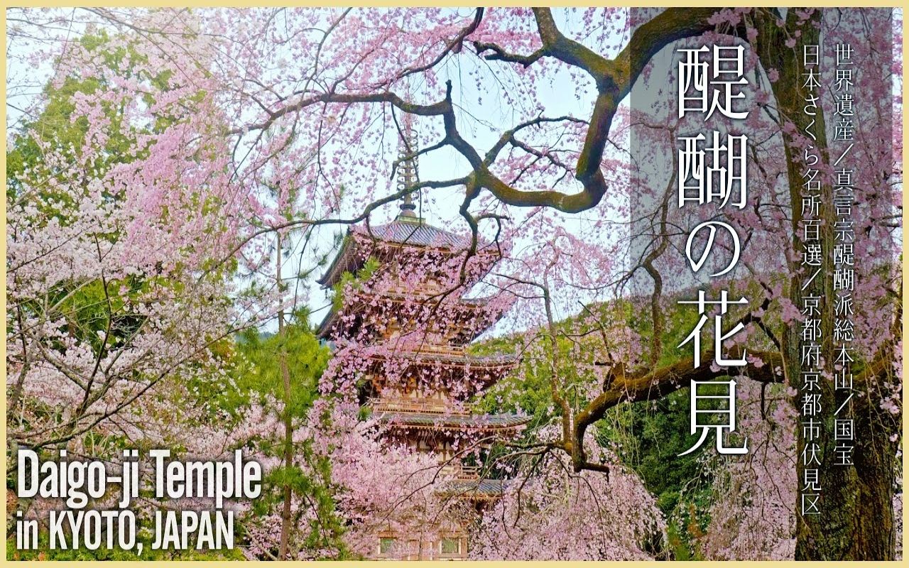 [图]【日本巡礼-26.京都府】醍醐寺 | 醍醐の花見 | 秀吉が愛でた桜の名所 | Cherry blossoms of Daigo-ji Temple