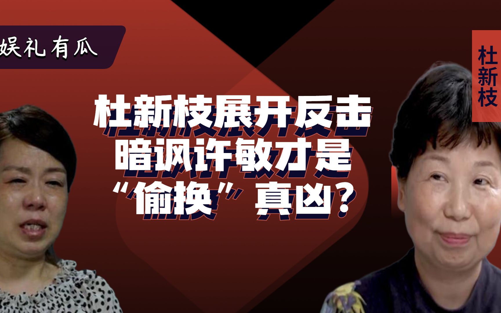 反转!杜新枝“倒打一耙”状告许敏,郭希宽自证清白,熊磊开心了哔哩哔哩bilibili