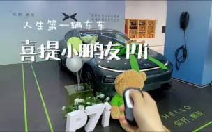 下载视频: 人生第一辆属于我们的车，喜提小鹏P7i