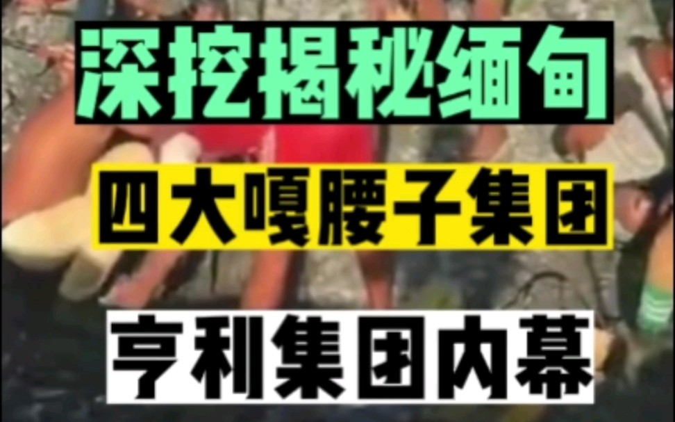 恐怖的亨利集团内幕揭秘,网友评论:给我一千万也不敢去,怕没地方花!哔哩哔哩bilibili