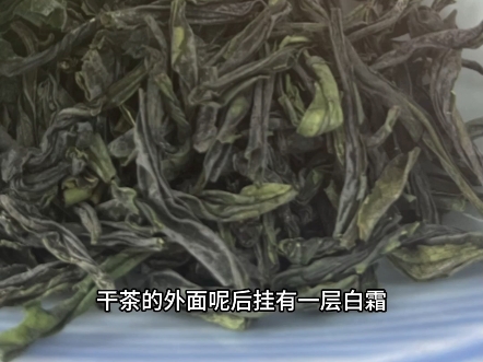 绿茶中唯一一款无芽无梗超任性的茶 会用到什么工艺呢?哔哩哔哩bilibili