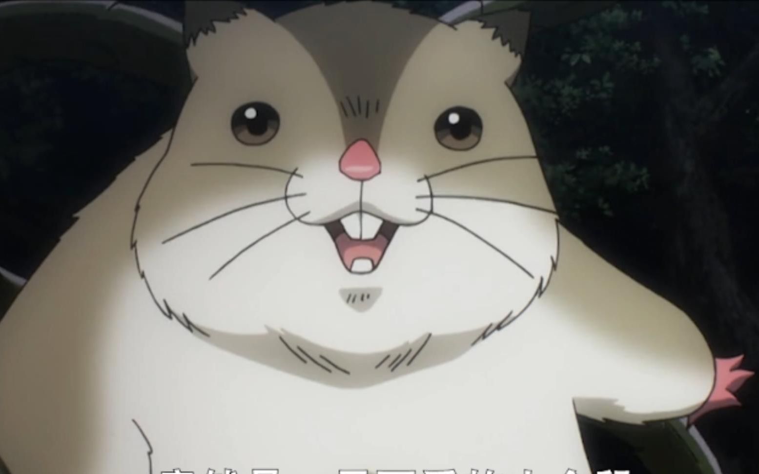 终于见到恐怖的森林贤王竟是一只大仓鼠